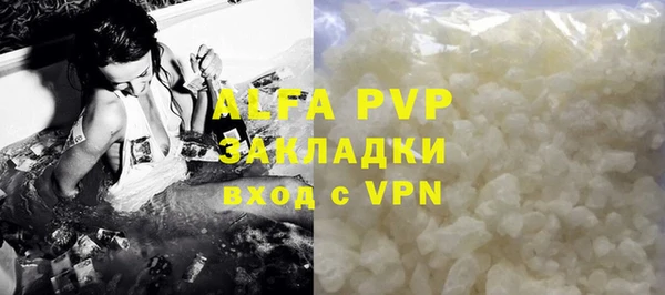 хмурый Арсеньев