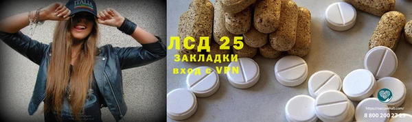 хмурый Арсеньев
