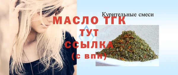 хмурый Арсеньев