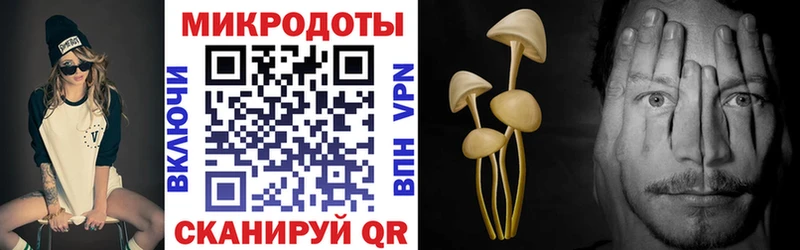 наркотики Белая Холуница Псилоцибиновые грибы MAGIC MUSHROOMS